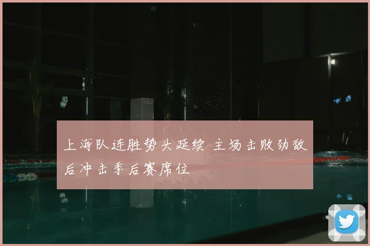 上海队连胜势头延续 主场击败劲敌后冲击季后赛席位